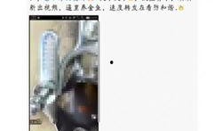 国产门事件在线视频,揭秘背后真相与影响